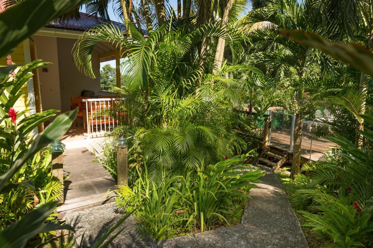 Les Jardins De L'Esperance Villa Bouillante Kültér fotó