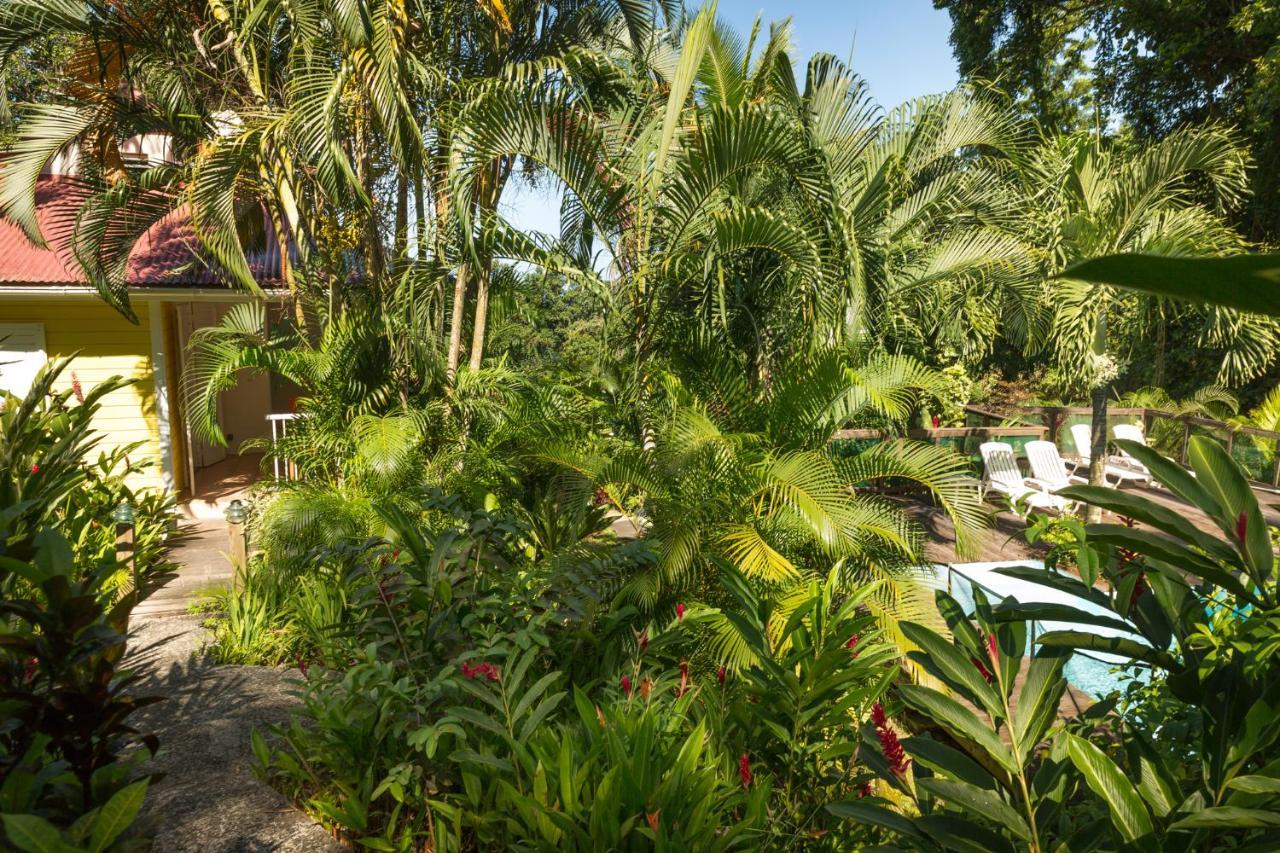 Les Jardins De L'Esperance Villa Bouillante Kültér fotó