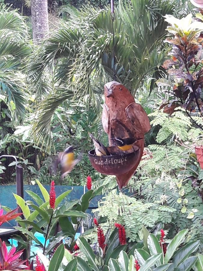 Les Jardins De L'Esperance Villa Bouillante Kültér fotó