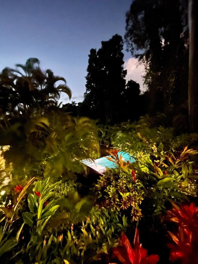 Les Jardins De L'Esperance Villa Bouillante Kültér fotó