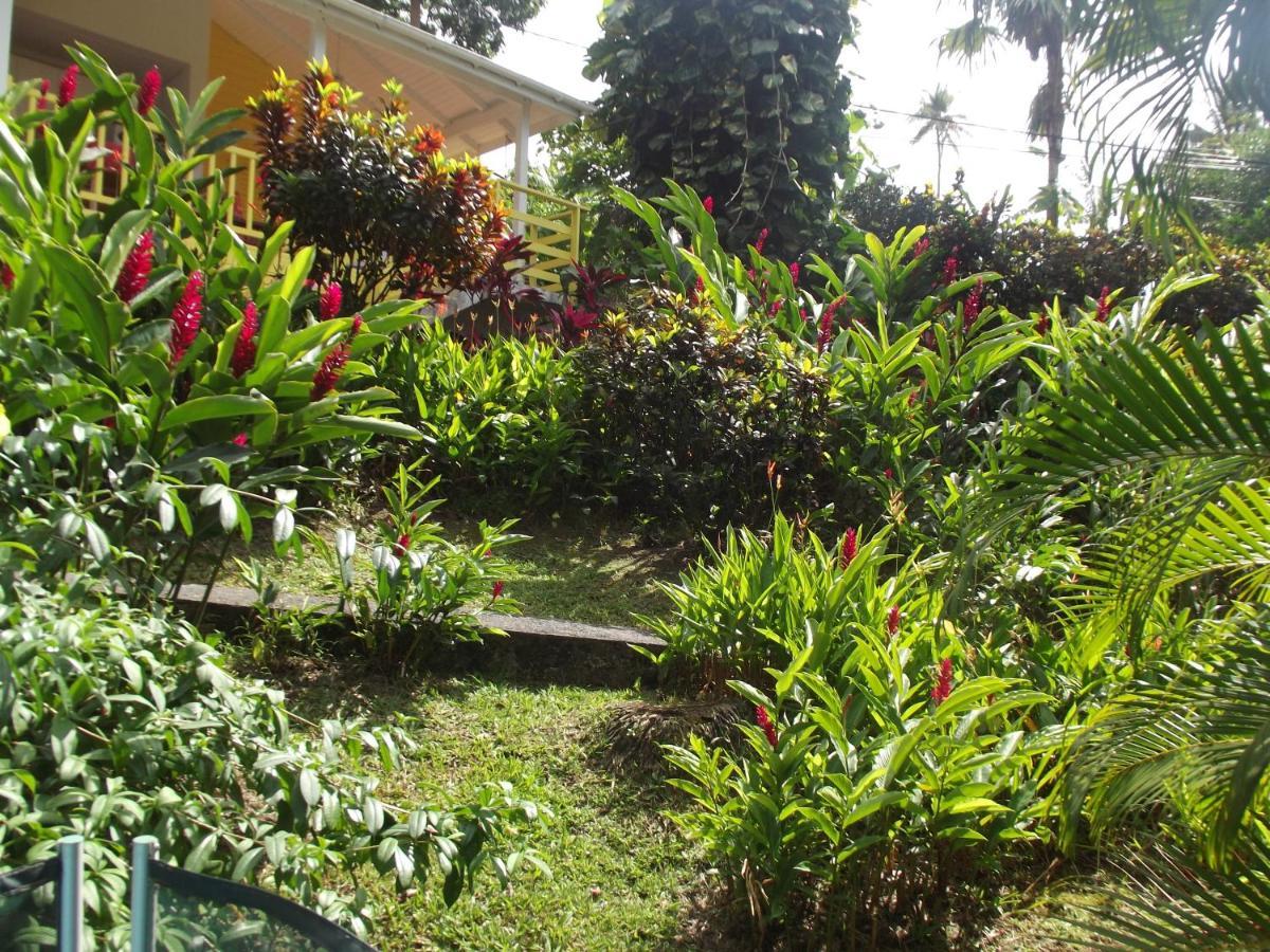 Les Jardins De L'Esperance Villa Bouillante Kültér fotó