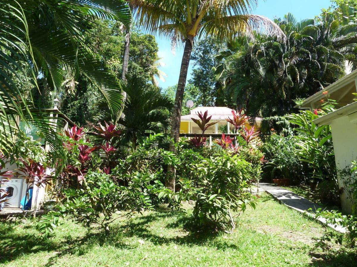 Les Jardins De L'Esperance Villa Bouillante Kültér fotó