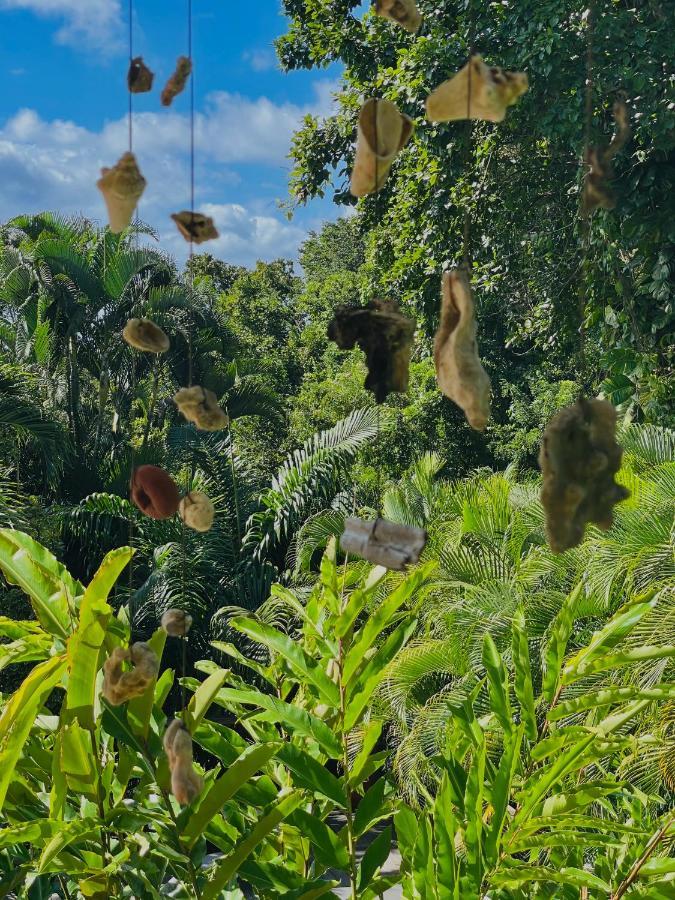 Les Jardins De L'Esperance Villa Bouillante Kültér fotó